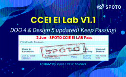 World Exclusivity CCIE EI DOO 4 Demo