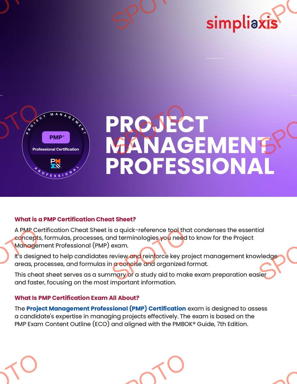 PMP Chea Sheet