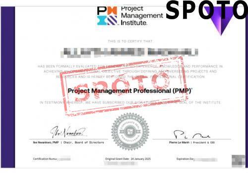 PMI-PMP-P