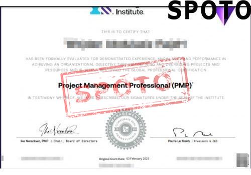 PMI-PMP-P