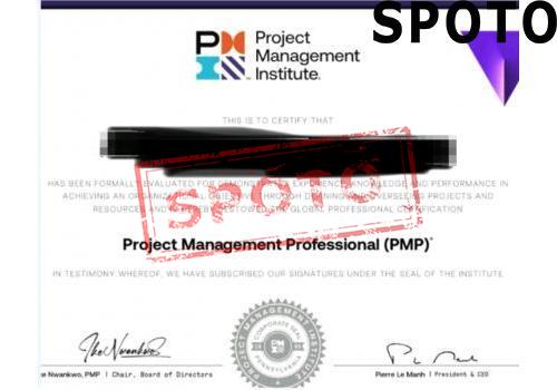 PMI-PMP-P