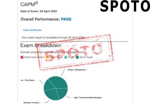 PMI-CAPM-P