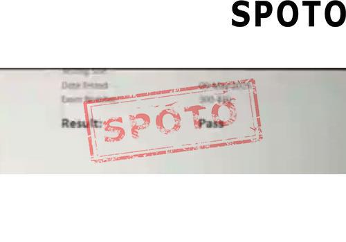 300-410-P