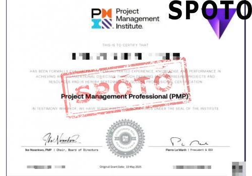 PMI-PMP-P