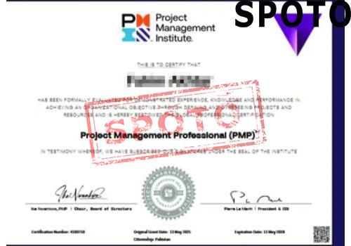 PMI-PMP-P