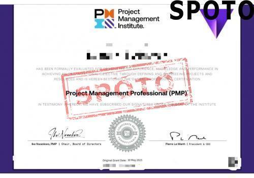 PMI-PMP-P