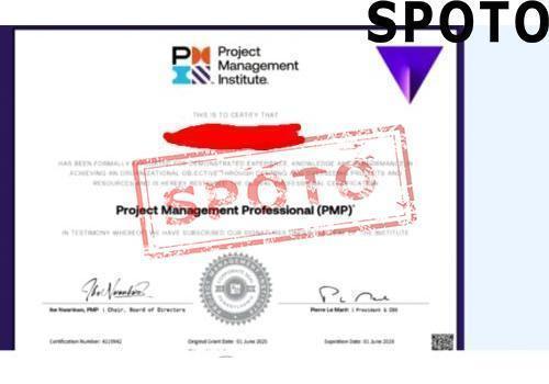 PMI-PMP-P