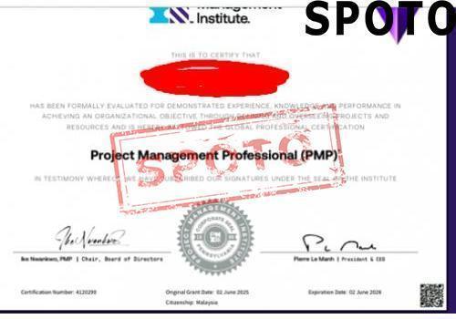 PMI-PMP-P