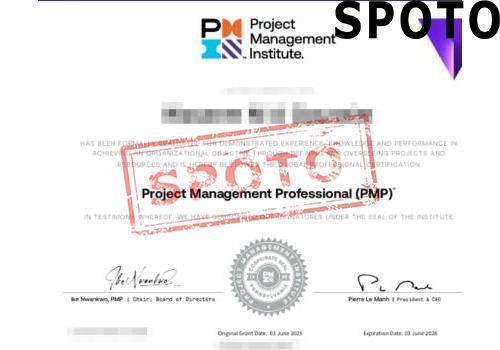 PMI-PMP-P
