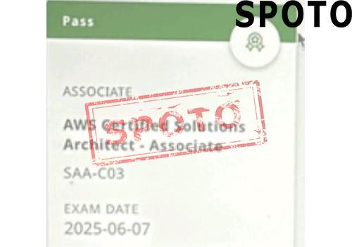 SAA-C03-P