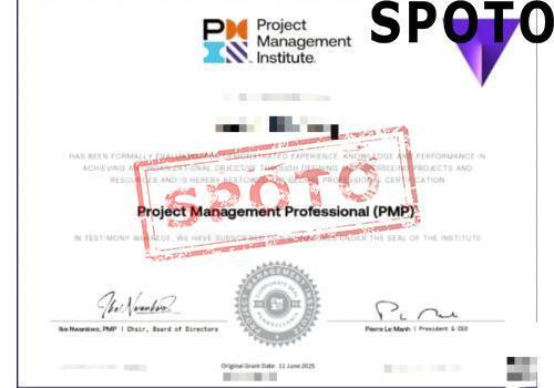 PMI-PMP-P