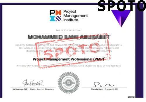 PMI-PMP-P