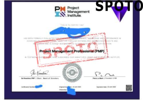 PMI-PMP-P