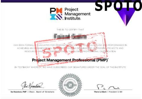 PMI-PMP-P