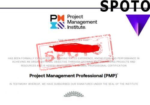 PMI-PMP-P