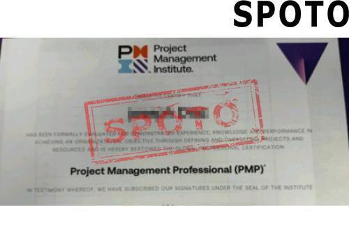 PMI-PMP-P