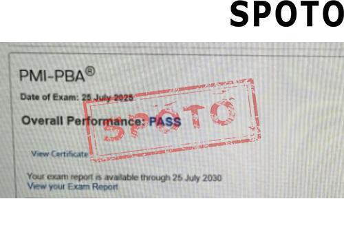 PMI-PBA-P