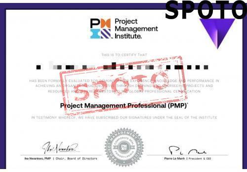 PMI-PMP-P