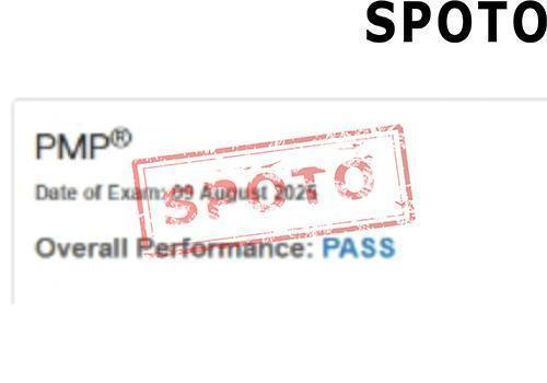 PMI-PMP-P