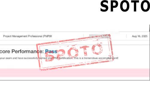PMI-PMP-P