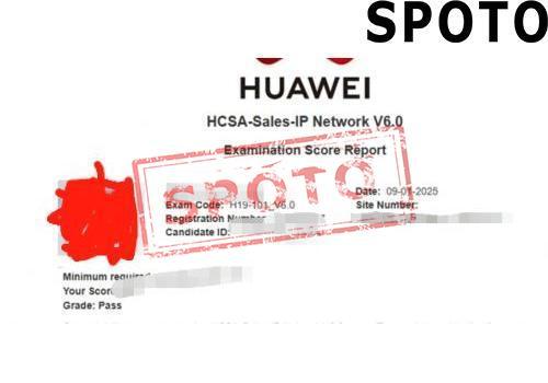 H19-101-E-P