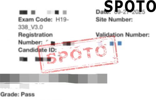 H19-338-E-P