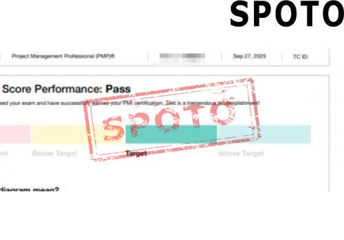 PMI-PMP-P