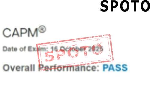 PMI-CAPM-P