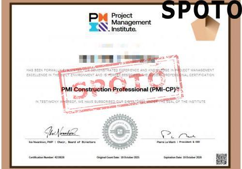 PMI-CP-P