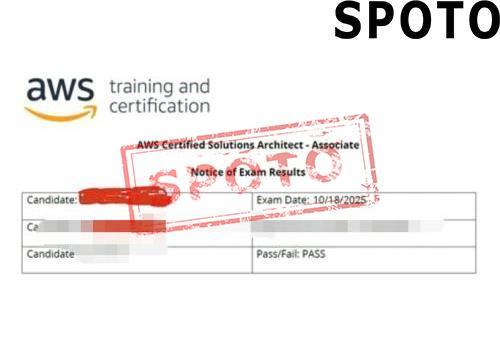 SAA-C03-P