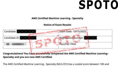 MLS-C01-P