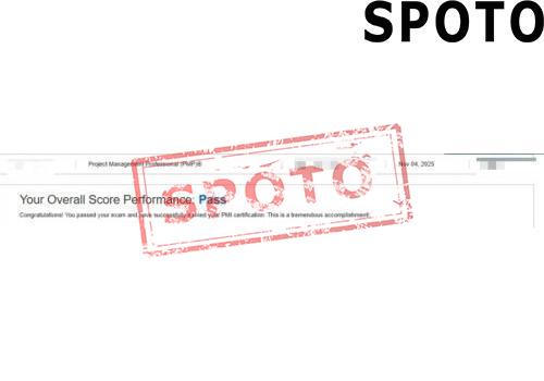 PMI-PMP-P