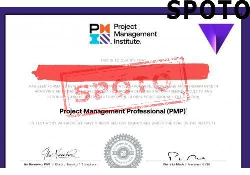 PMI-PMP-P