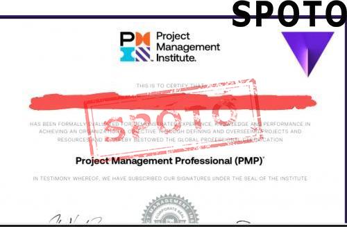 PMI-PMP-P