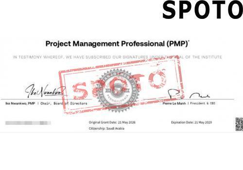 PMI-PMP-P