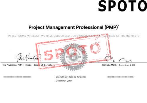 PMI-PMP-P