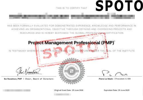 PMI-PMP-P