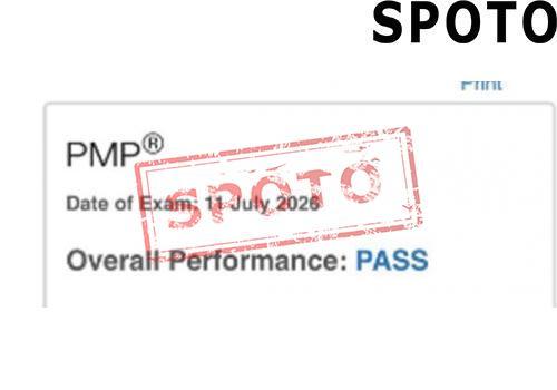 PMI-PMP-P