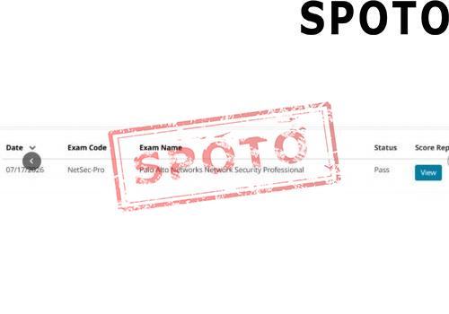 NETSEC-PRO