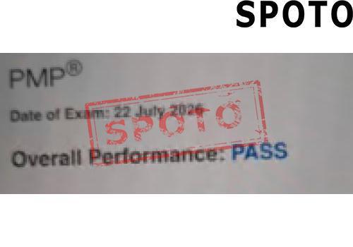 PMI-PMP-P