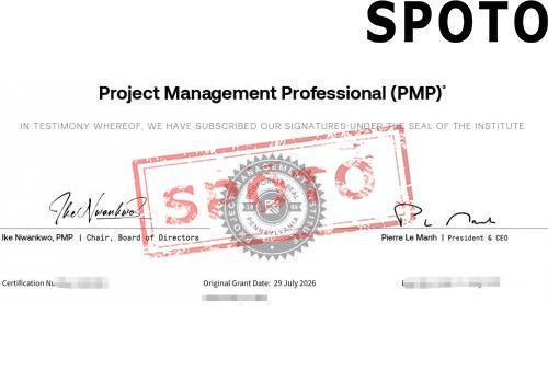 PMI-PMP-P