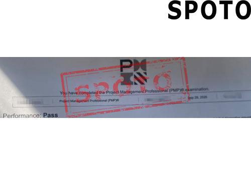 PMI-PMP-019